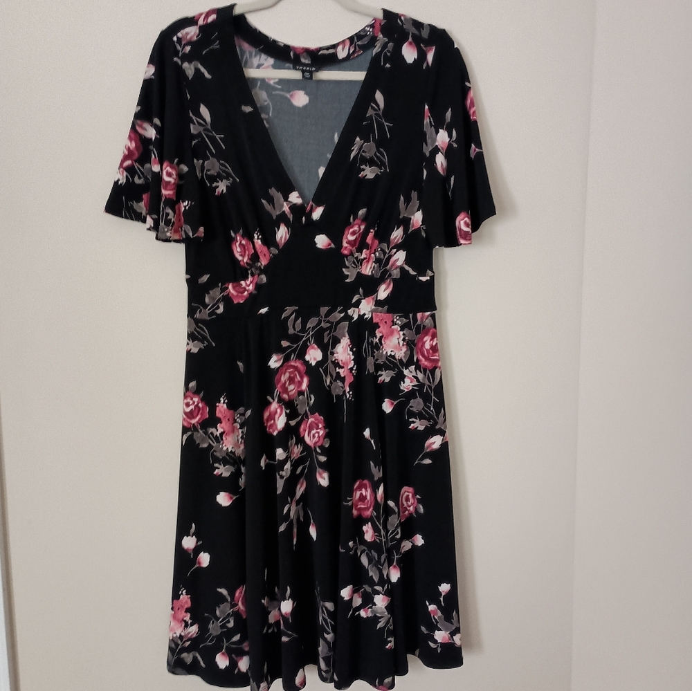 Torrid Dress‎ Size 10 Black Pink Moody Floral Romantic Cottagecore Whimsigoth
